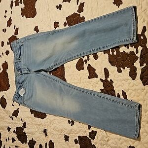 American Eagle Jeggings Size 14 Regular